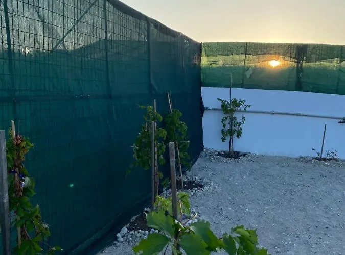 Amato Nyaraló Mandrákia