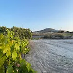 Amato * Mandrakia