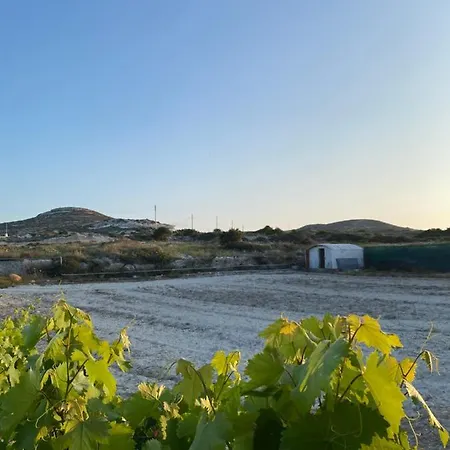 Casa vacanze Amato *