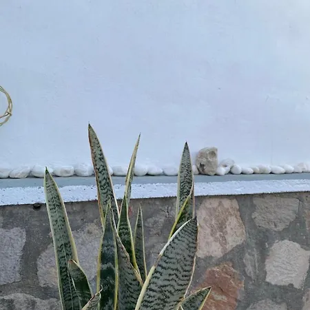 Amato Casa vacanze
