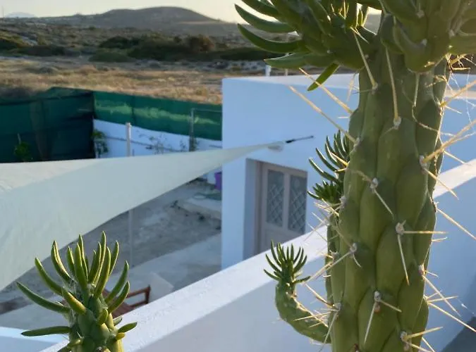 Semesterbostad Amato *