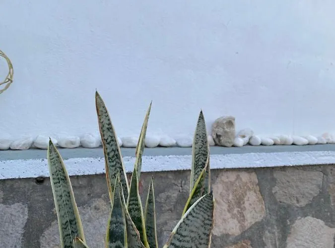 Amato Semesterbostad